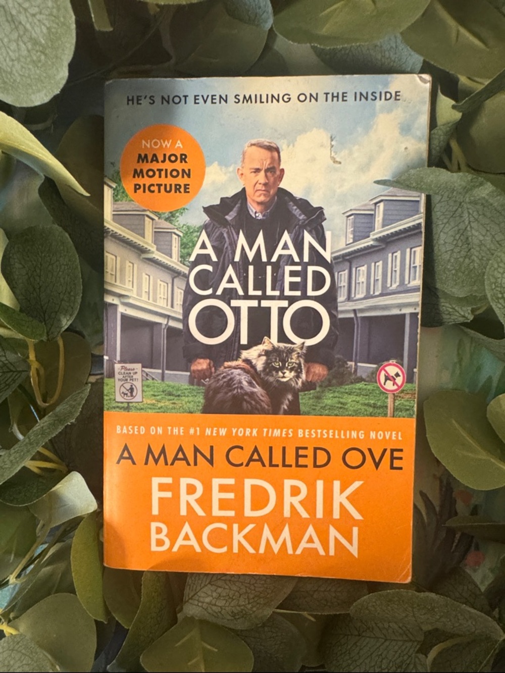 A Man Called Ove by Fredrik Backman